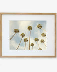 A framed photograph of the Offley Green 'Reach for the Palms' Palm Tree Print, showcasing tall California palm trees against a cloudy sky, viewed from below to highlight the long trunks and leafy tops.