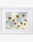 A framed photograph depicting a group of tall California palm trees viewed from below against a clear sky with soft clouds - Offley Green's Palm Tree Print, California Beach Scene 'Reach for the Palms'