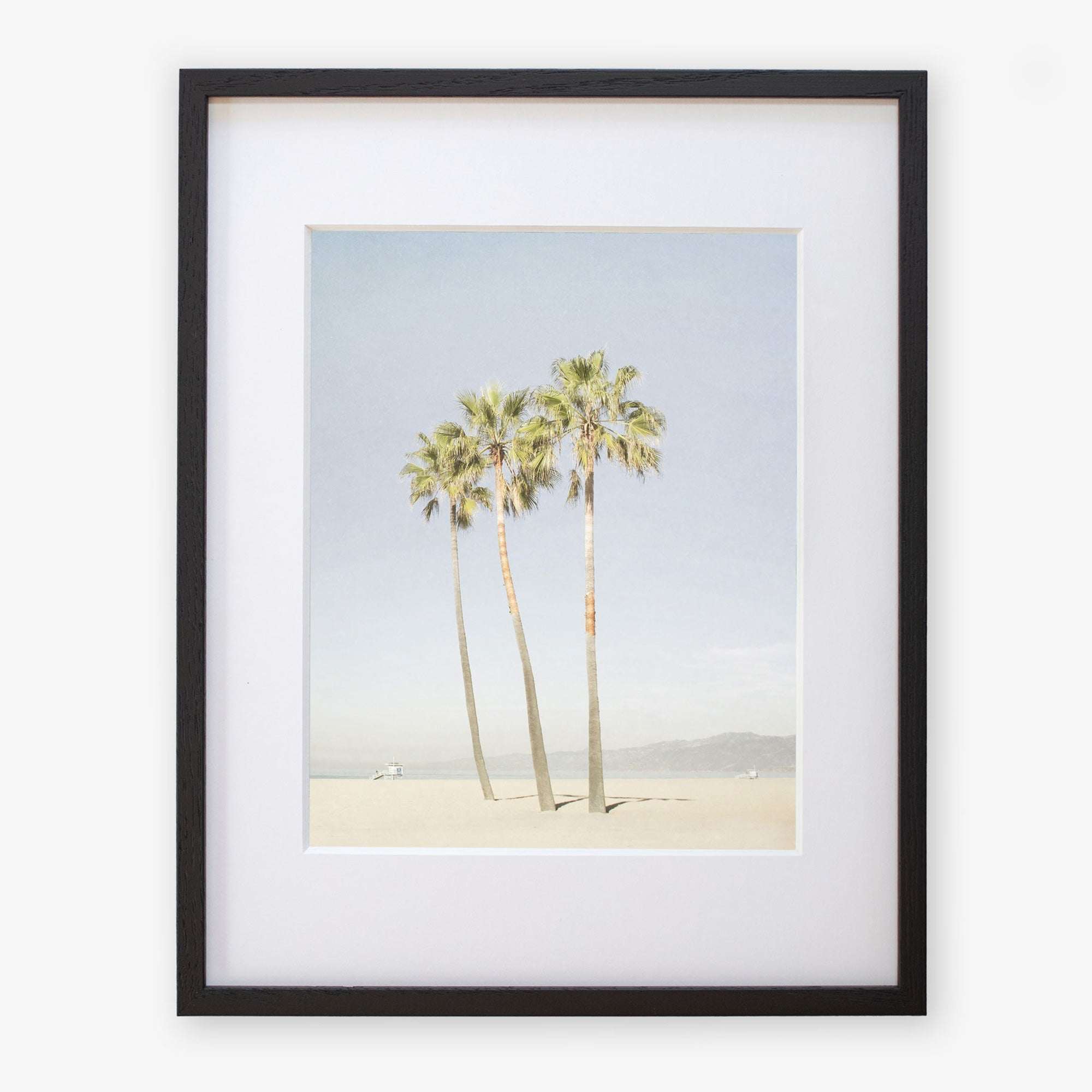 A framed photograph of the California Venice Beach Print 'Three Palms' by Offley Green, depicting three tall palm trees on Venice Beach under a clear sky, displayed against a white background.