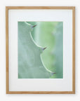 Natural oak frame with matting