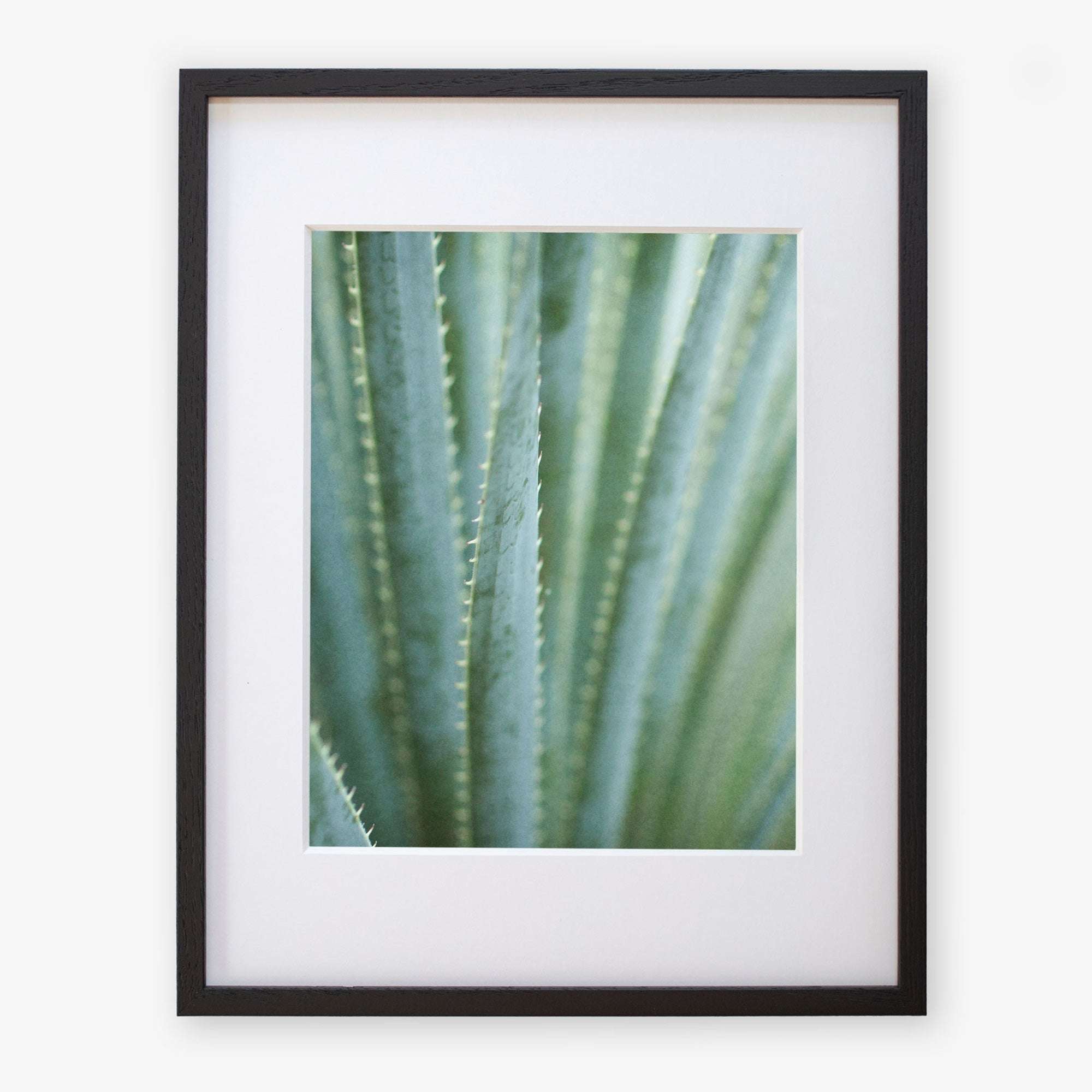 Close-up photo of a Green Botanical Print, 'Strands and Spikes II' by Offley Green, printed on archival photographic paper, unframed, against a white background.