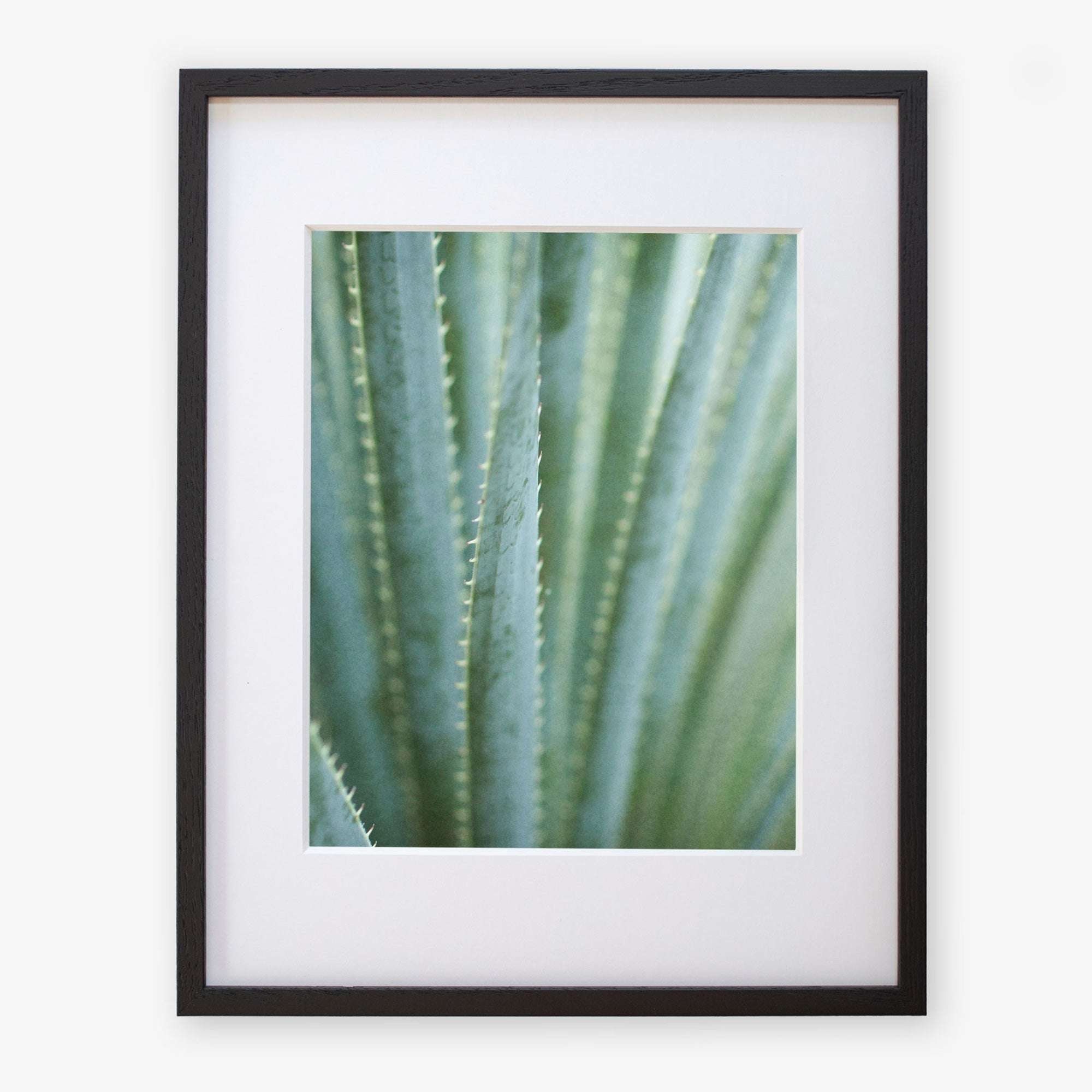 Close-up photo of a Green Botanical Print, &#39;Strands and Spikes II&#39; by Offley Green, printed on archival photographic paper, unframed, against a white background.