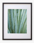 Close-up photo of a Green Botanical Print, 'Strands and Spikes II' by Offley Green, printed on archival photographic paper, unframed, against a white background.