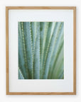 A framed photograph of the Green Botanical Print, 'Strands and Spikes II' by Offley Green, focusing on the elongated green leaves with spiky edges, displayed in a light wooden frame against a white background and printed on archival photographic paper.