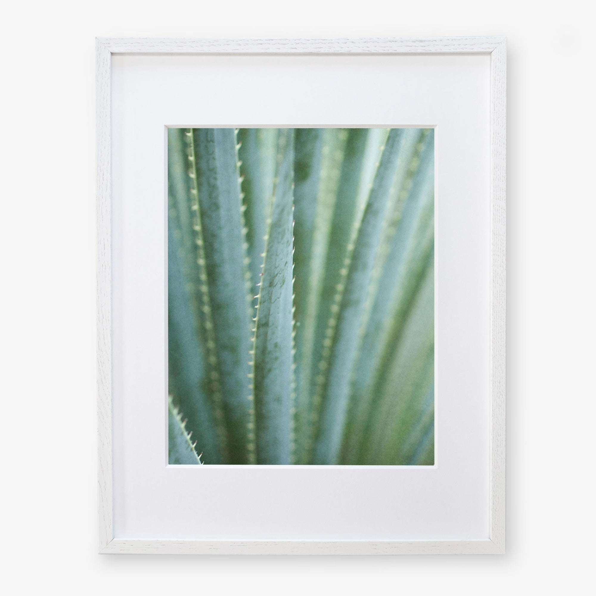 Framed photograph of a Green Botanical Print, 'Strands and Spikes II' by Offley Green, displayed in a white frame against a white background.