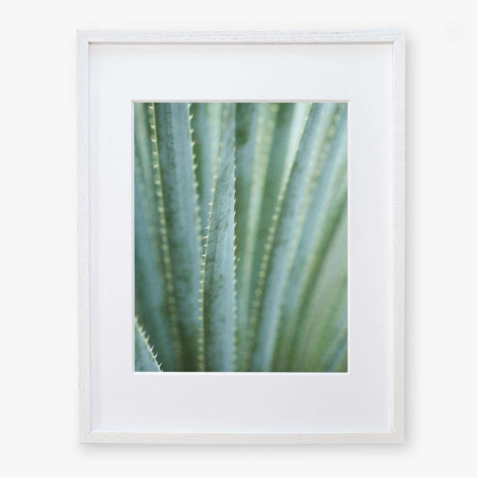 Framed photograph of a Green Botanical Print, &#39;Strands and Spikes II&#39; by Offley Green, displayed in a white frame against a white background.