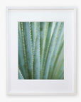 Framed photograph of a Green Botanical Print, 'Strands and Spikes II' by Offley Green, displayed in a white frame against a white background.
