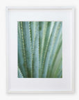 Framed photograph of a Green Botanical Print, 'Strands and Spikes II' by Offley Green, displayed in a white frame against a white background.