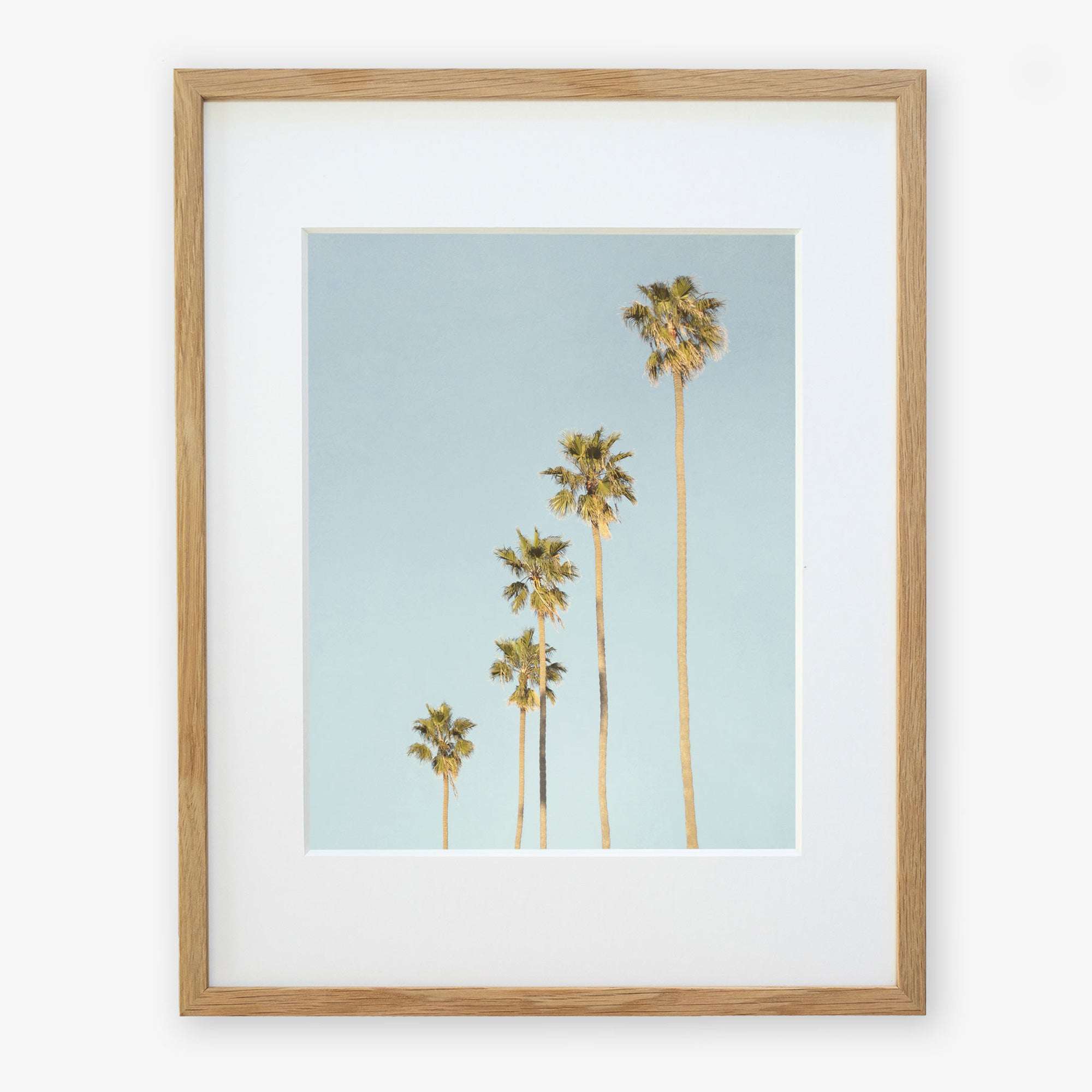 A framed Los Angeles Palm Tree Photographic Print 'Palm Tree Steps' by Offley Green, featuring five tall palm trees against a clear sky, viewed at an upward angle, capturing the California style. The frame is simple and made of light wood.