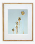 A framed Los Angeles Palm Tree Photographic Print 'Palm Tree Steps' by Offley Green, featuring five tall palm trees against a clear sky, viewed at an upward angle, capturing the California style. The frame is simple and made of light wood.