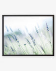 Black oak frame without matting