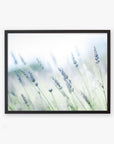 Offley Green's Rustic Farmhouse Floral Wall Art, 'Buds of Lavender' portrays a gentle and peaceful ambiance with its softly focused lavender plants in Santa Ynez Valley and bright, ethereal background.
