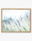 A Rustic Farmhouse Floral Wall Art of delicate lavender flowers in a soft focus, printed on archival photographic paper, with a pale green and white background, encased in a light wooden frame, displayed against a plain white wall by Offley Green.