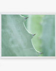 Close-up photo of a green Offley Green Mint Green Botanical Print, 'Aloe Vera Spikes' leaf with sharp thorns on its edge, framed by a white border, focusing on the texture and natural details.