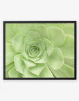 Black oak frame without matting