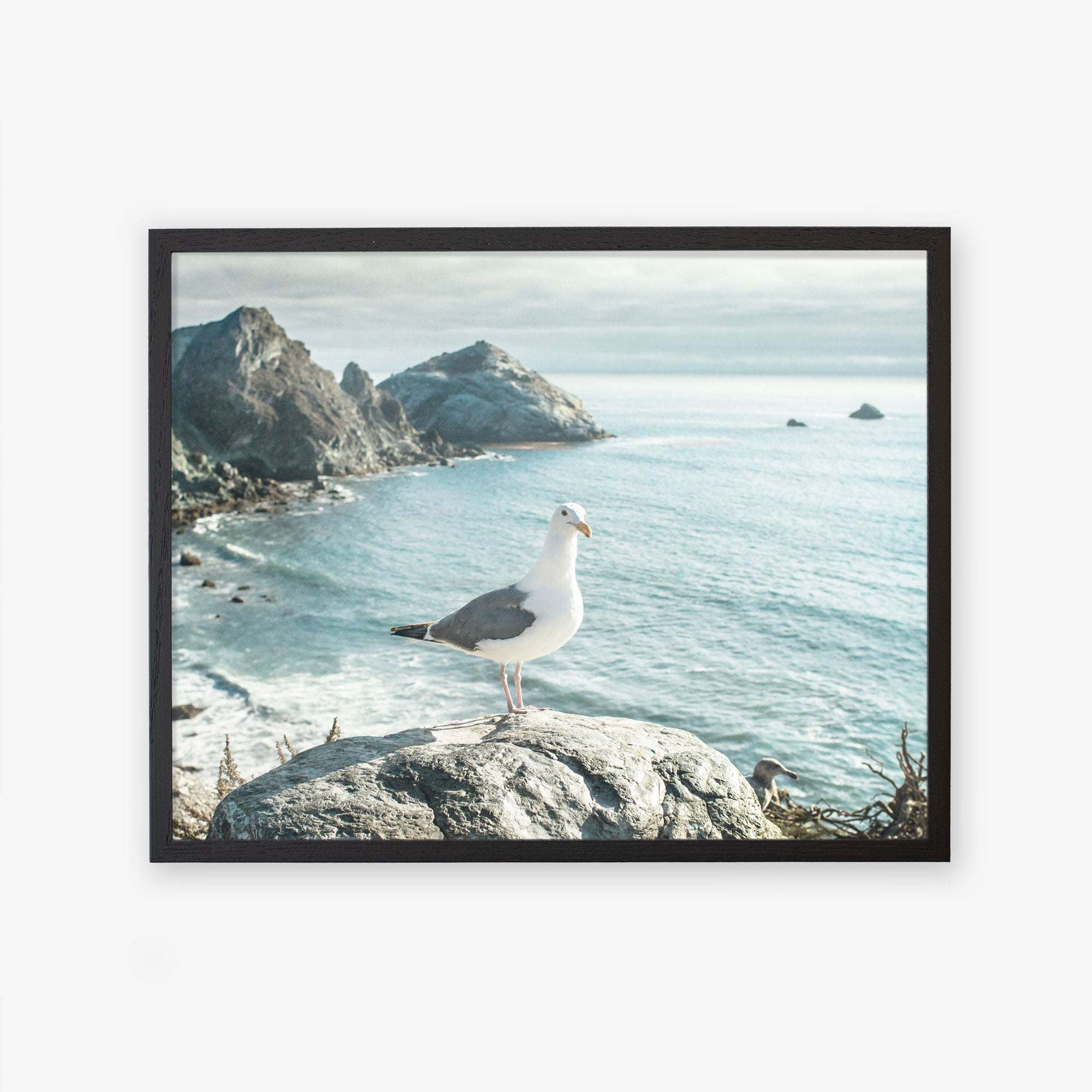 A framed photograph of a seagull standing on a rock with a scenic view of Big Sur&#39;s rocky coastlines and calm blue ocean waters under a clear sky, featuring the Offley Green Big Sur Landscape Print, &#39;Lobster Mornay For Tea&#39;.