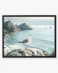A framed photograph of a seagull standing on a rock with a scenic view of Big Sur's rocky coastlines and calm blue ocean waters under a clear sky, featuring the Offley Green Big Sur Landscape Print, 'Lobster Mornay For Tea'.