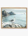 An unframed photo of a seagull standing on a rock with a scenic view of the ocean and cliffs in the background, featuring the Big Sur Landscape Print, 'Lobster Mornay For Tea' by Offley Green.