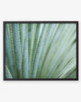 Black oak frame without matting