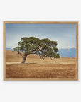 Natural oak frame without matting