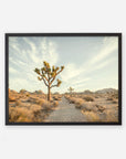 Joshua Tree Print, 'Path to Joshua'