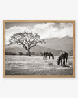 Natural oak frame without matting