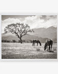 White oak frame without matting