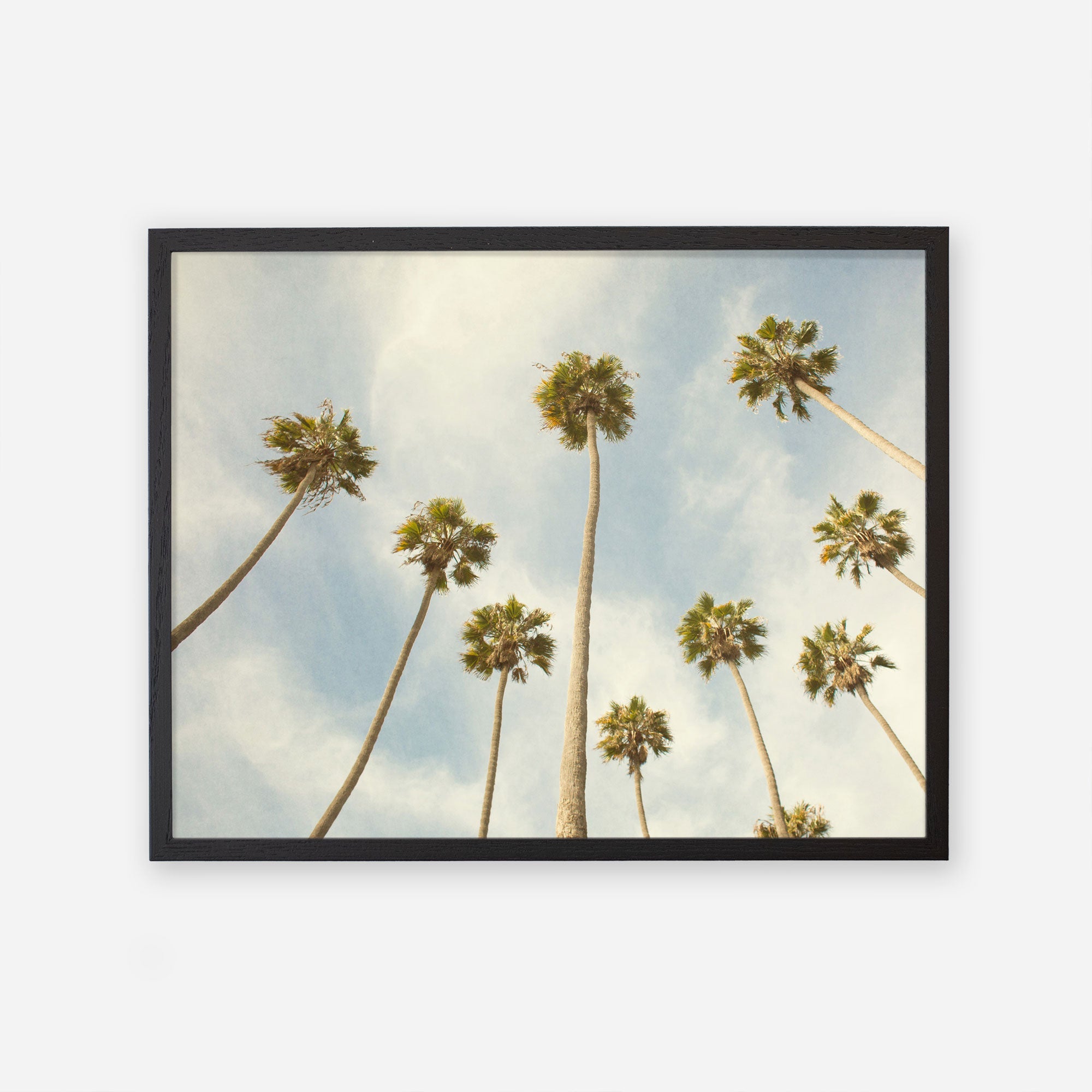 Framed photograph of tall California palm trees against a clear sky, viewed from below, emphasizing their long trunks and feathery tops - Offley Green&#39;s Palm Tree Print, California Beach Scene &#39;Reach for the Palms&#39;.