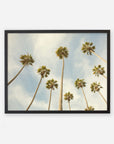 Framed photograph of tall California palm trees against a clear sky, viewed from below, emphasizing their long trunks and feathery tops - Offley Green's Palm Tree Print, California Beach Scene 'Reach for the Palms'.