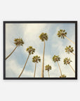 Black oak frame without matting