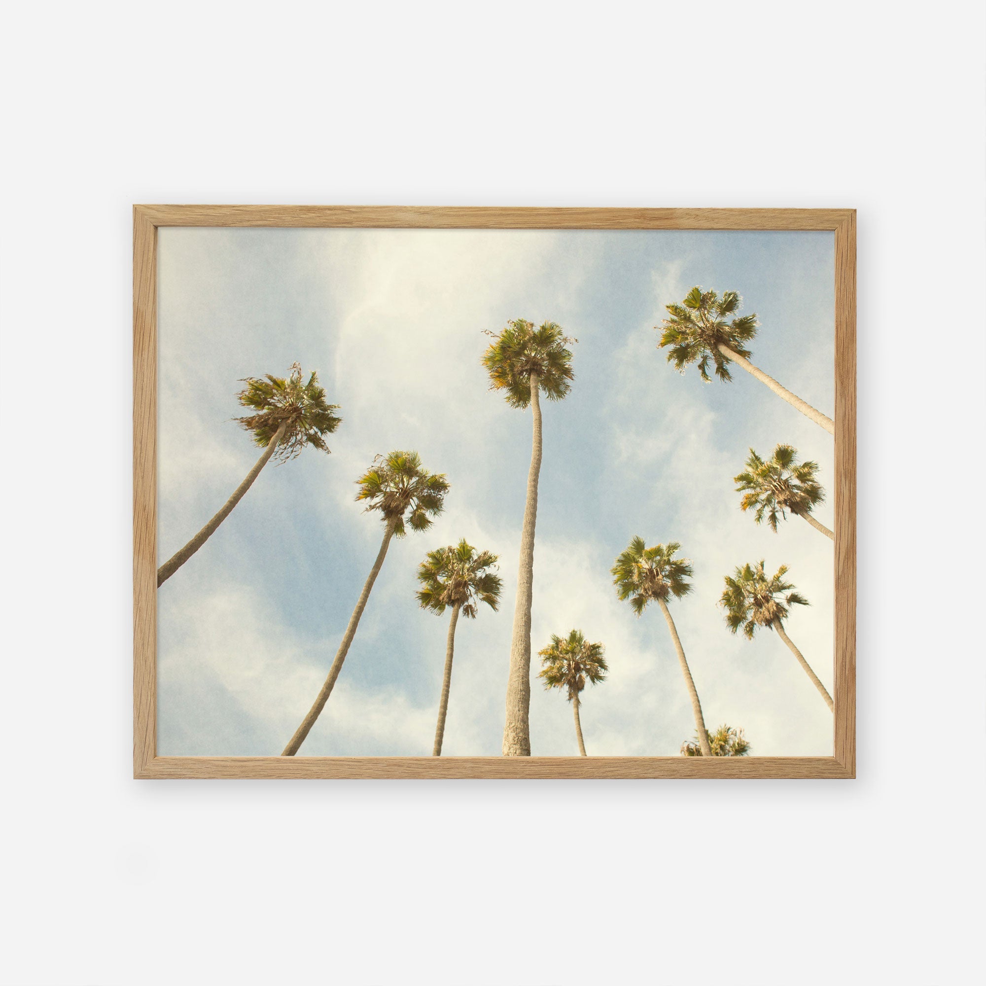 A framed Palm Tree Print depicting a view of tall California palm trees reaching towards a clear sky from a low angle, showcasing the stems and lush crowns of the trees by Offley Green.