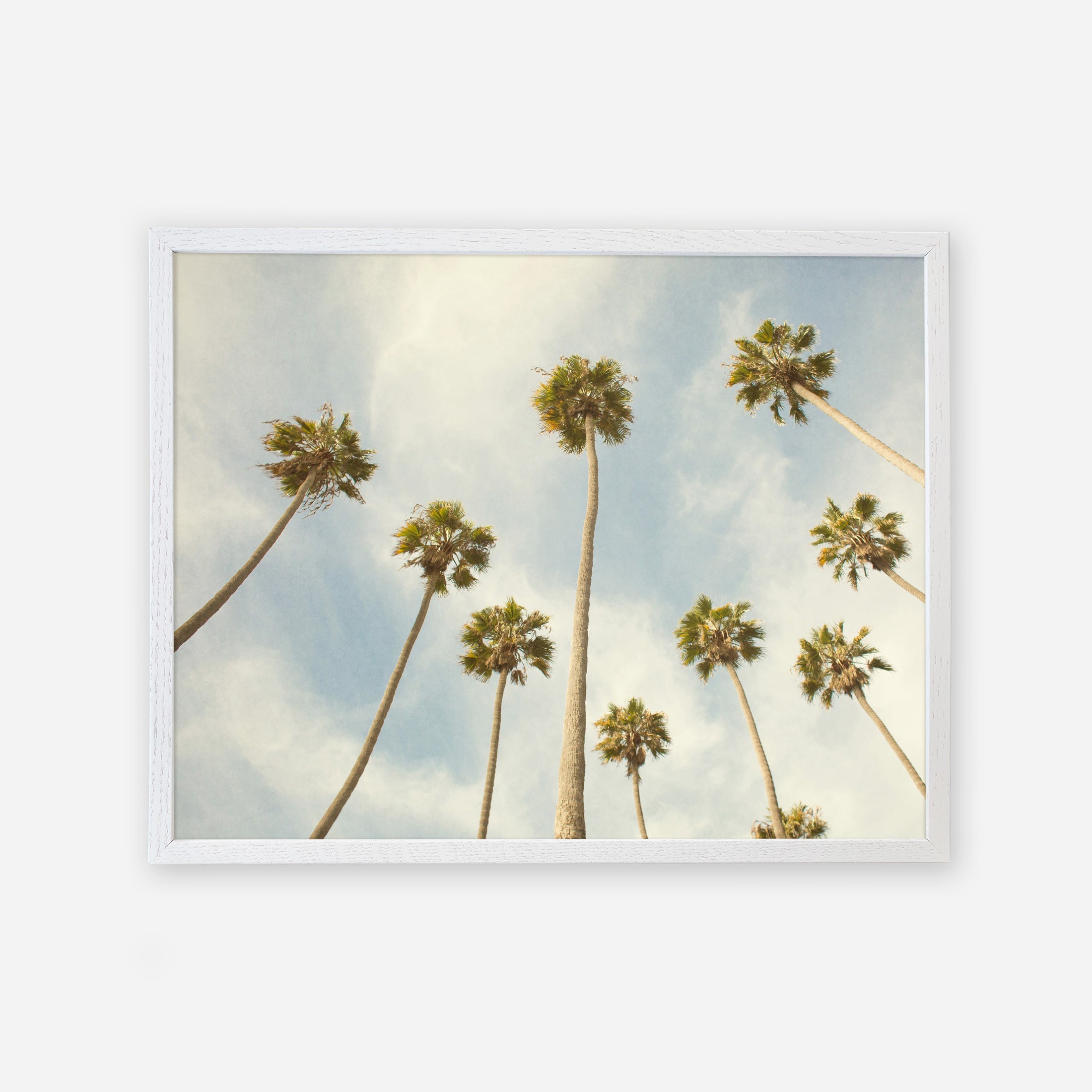 A framed photograph of tall California palm trees viewed from below against a soft cloudy sky, printed on archival photographic paper, creating a beautiful and serene nature scene. This is the Offley Green Palm Tree Print, California Beach Scene &#39;Reach for the Palms&#39;.