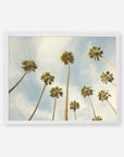 A framed photograph of tall California palm trees viewed from below against a soft cloudy sky, printed on archival photographic paper, creating a beautiful and serene nature scene. This is the Offley Green Palm Tree Print, California Beach Scene 'Reach for the Palms'.