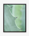 Black oak frame without matting