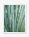 Close-up photo of a green agave plant with sharp, pointed leaves showing detailed textures and spiky edges, framed against a soft, blurred background. This desert plants photography is printed on archival photographic Green Botanical Print, 'Strands and Spikes II' by Offley Green.
