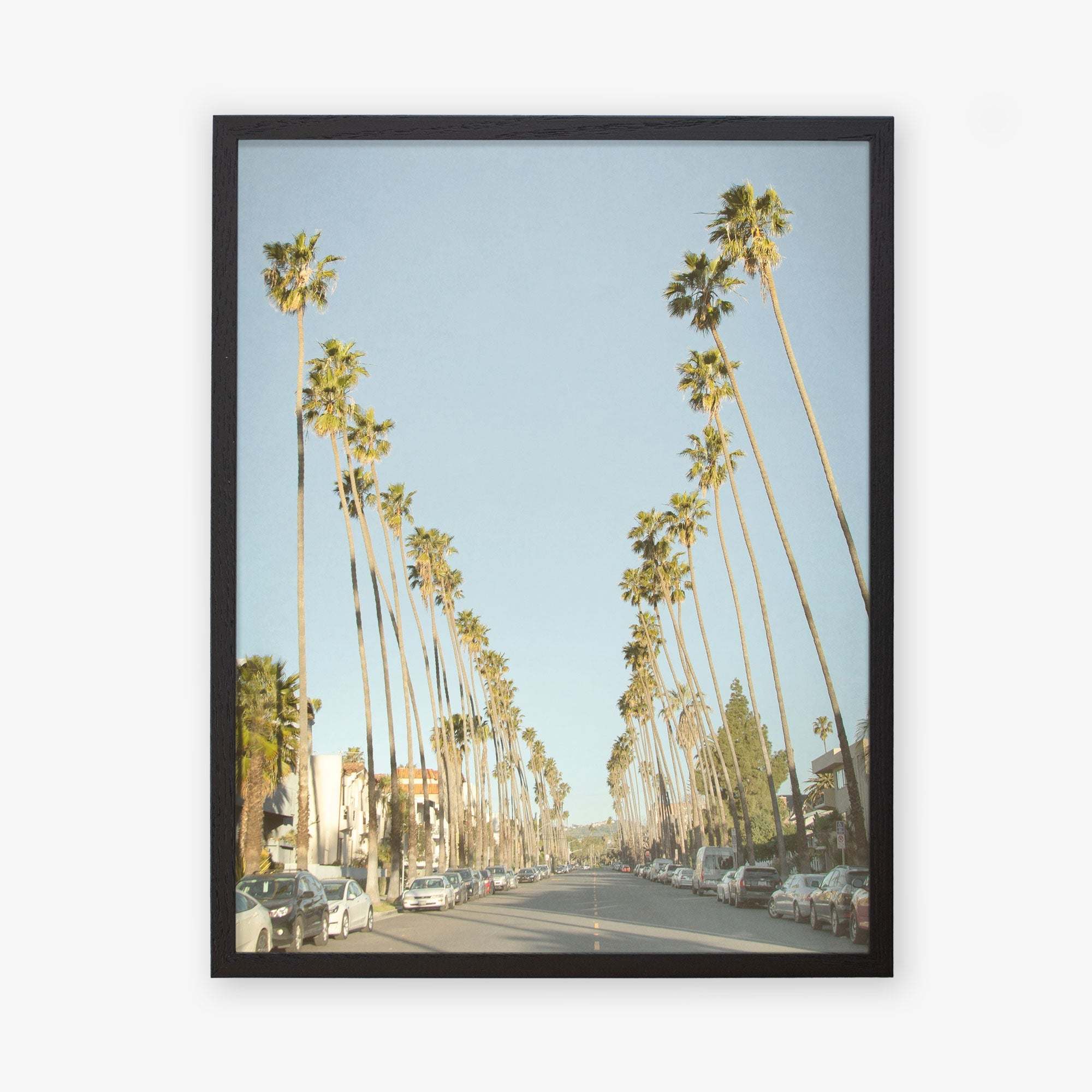 Framed photograph of a sunny street lined with tall palm trees on Sunset Boulevard, cars parked along the roadside, clear blue sky in the background: Offley Green's Los Angeles Palm Tree Lined Street 'Sunset Boulevard Dreams'.