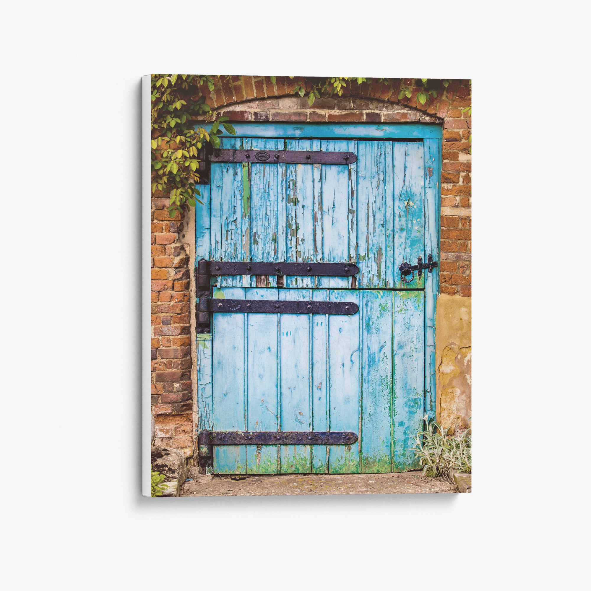 Rustic Country Cottage Wall Art, 'Flakey Blue Barn Door'