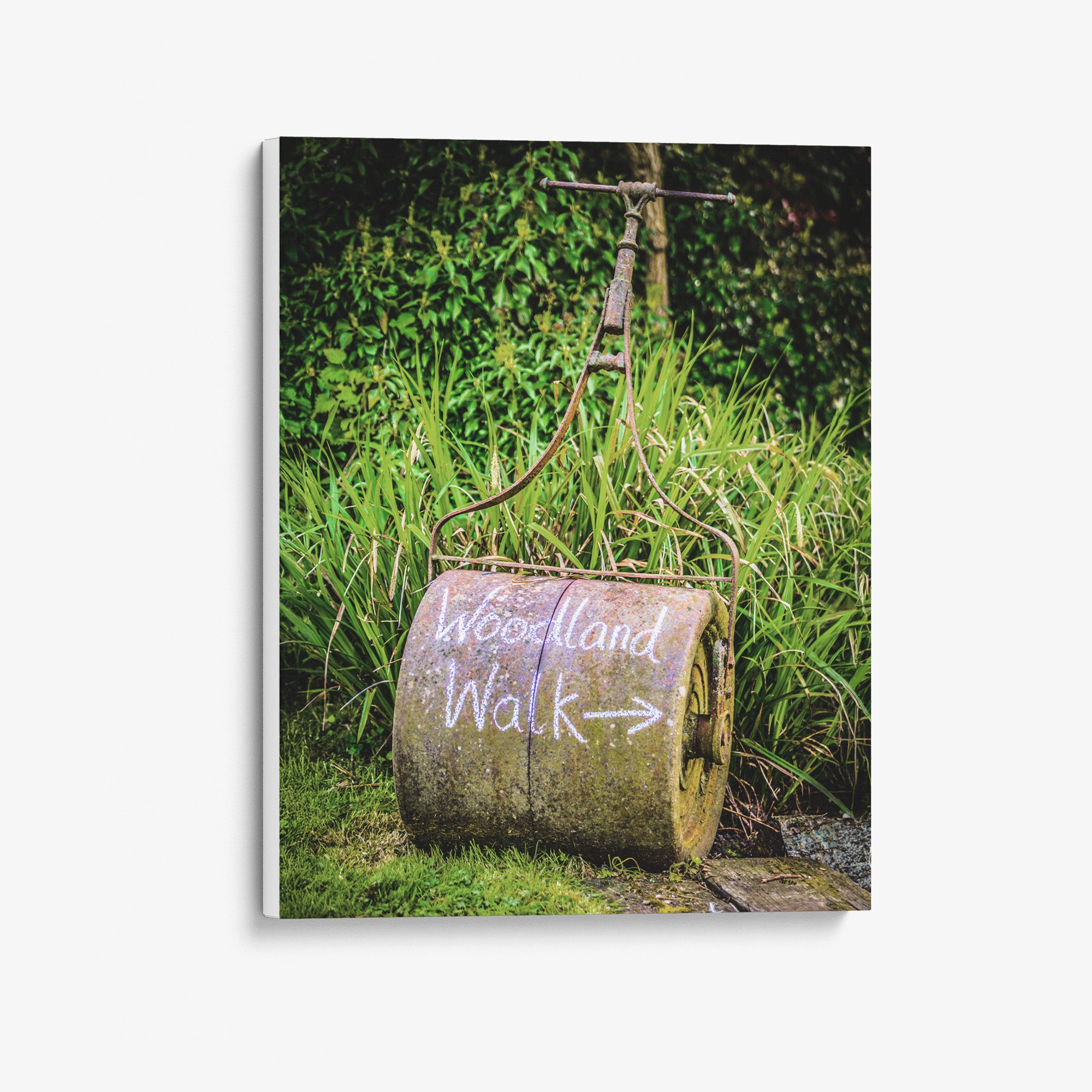 Rustic Farmhouse Wall Art, 'Rusty Grass Roller'