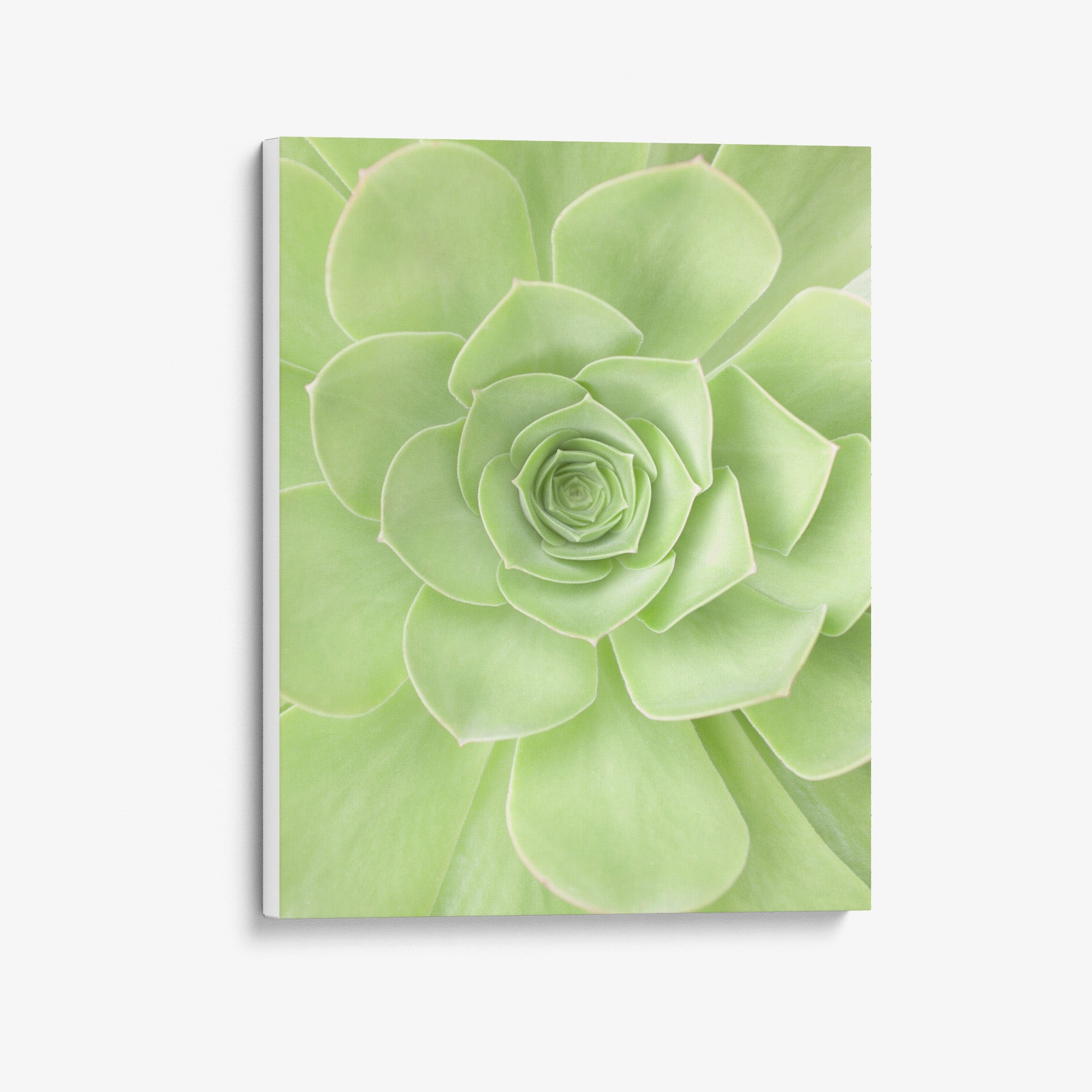 Soothing Green Botanical Wall Art, 'Portrait of a Succulent Heart'
