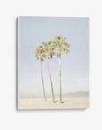 Venice Beach Palm Tree Canvas Print 'Three Palms'