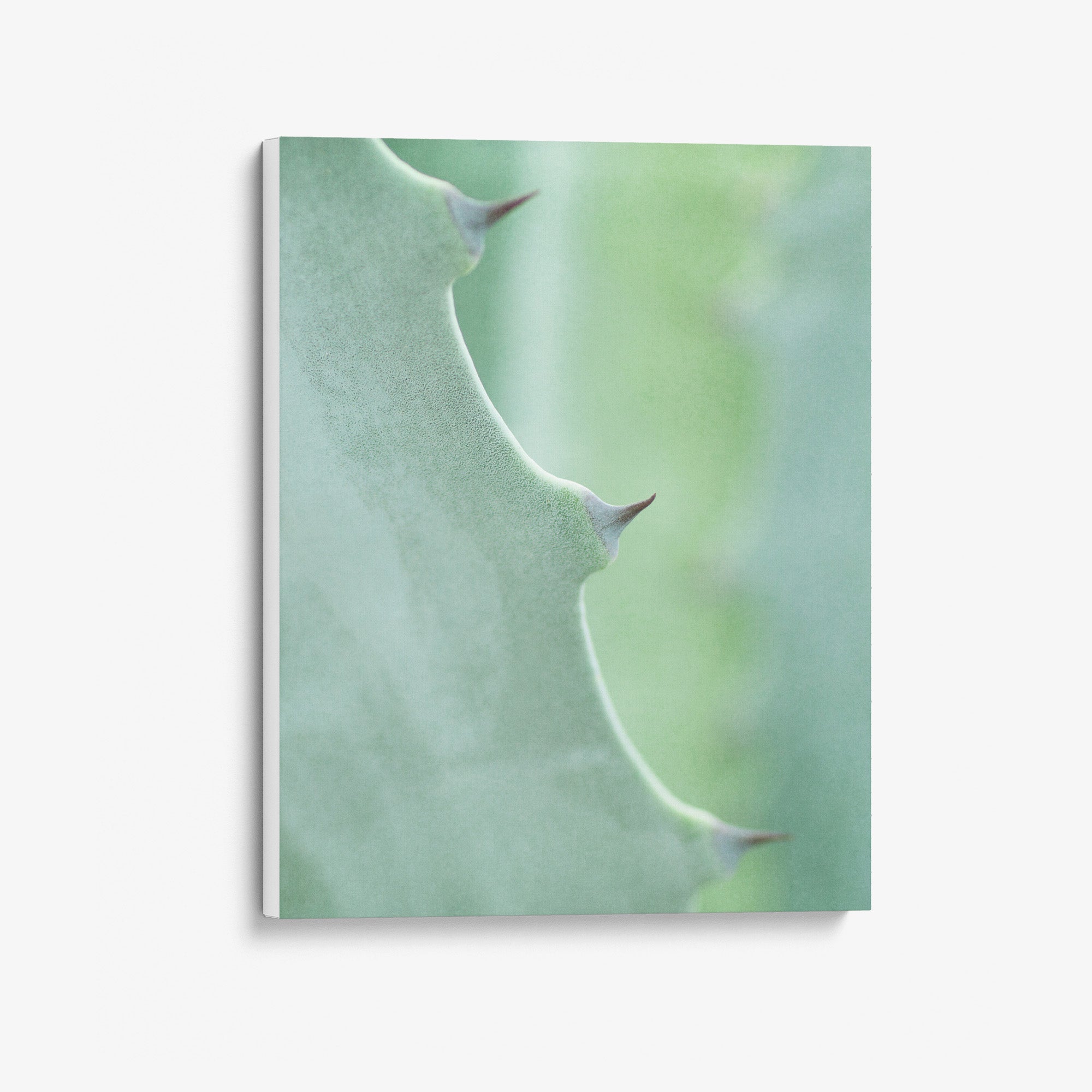 Mint Green Botanical Canvas Print, 'Aloe Vera Spikes Portrait'