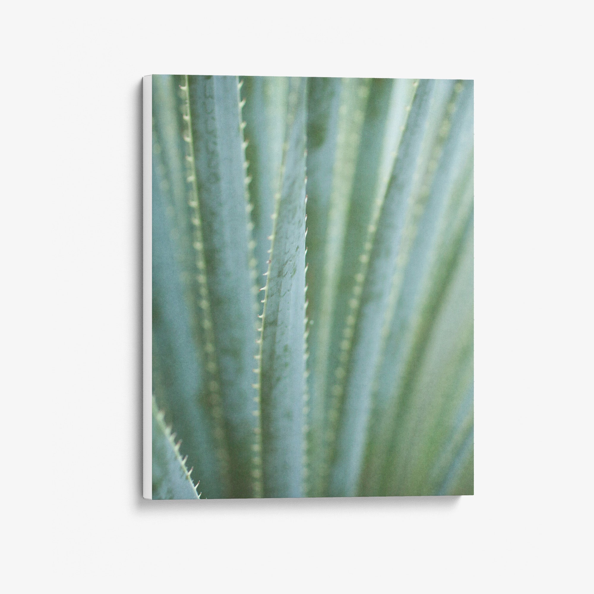 Green Botanical Canvas Print, 'Strands and Spikes II'