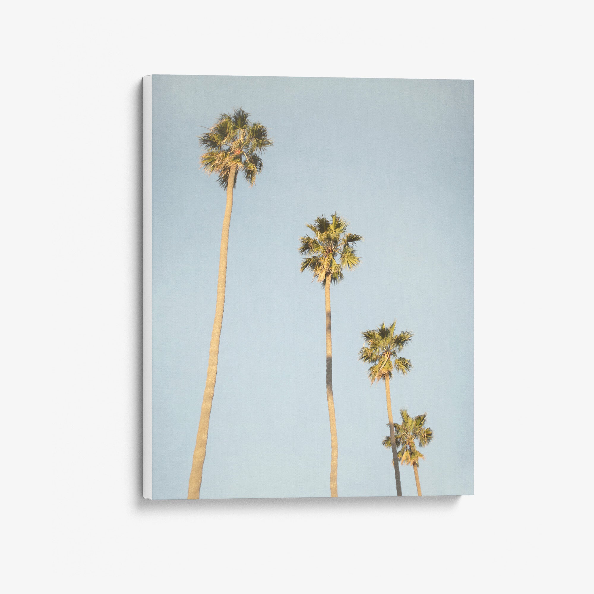 Los Angeles Palm Tree Canvas Wall Art, 'Palm Stairs to Heaven'