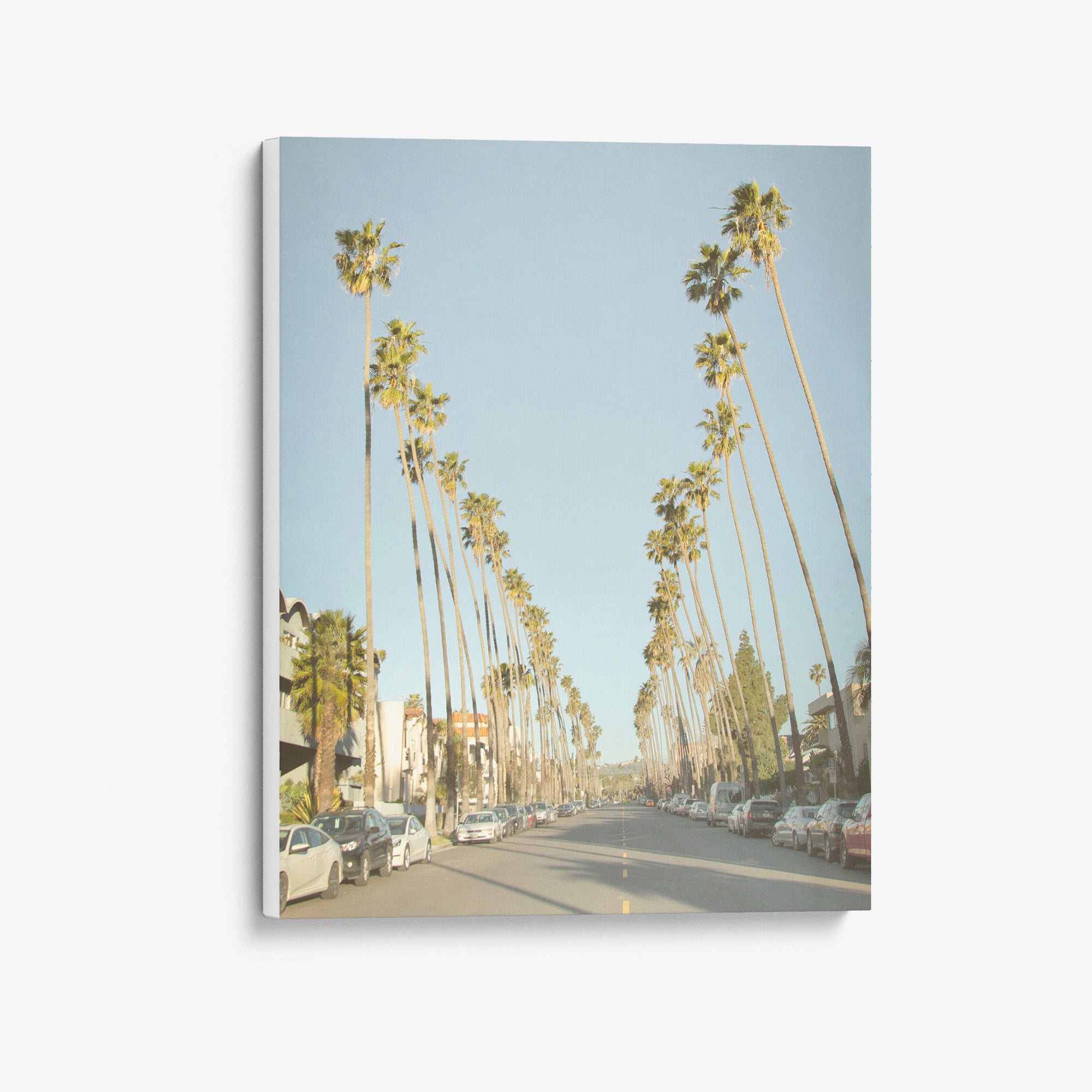 Los Angeles Palm Tree Lined Street Canvas Print 'Avenue of the Palms'