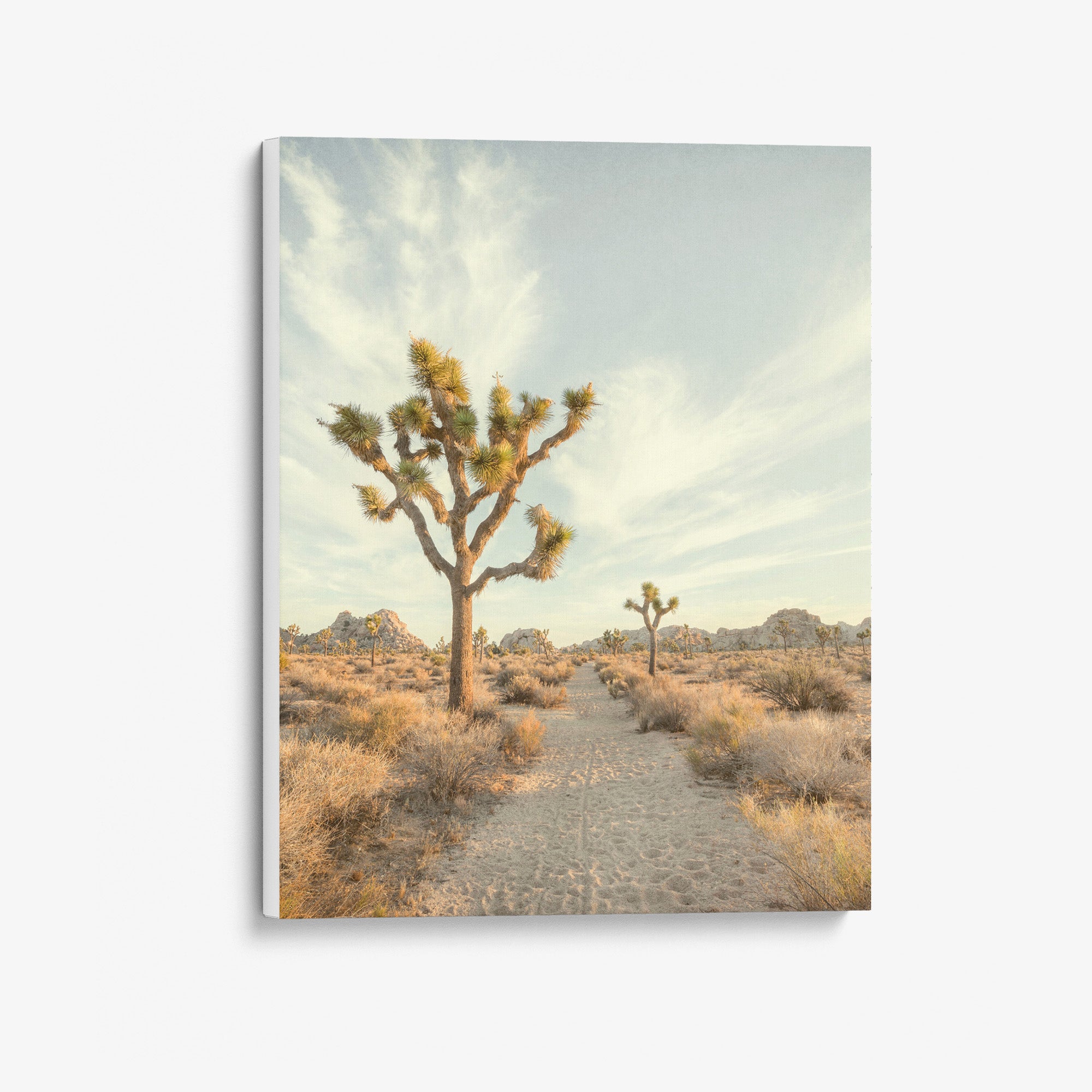 Joshua Tree Print, 'Path to Joshua II'
