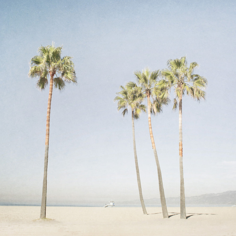Venice Beach Prints