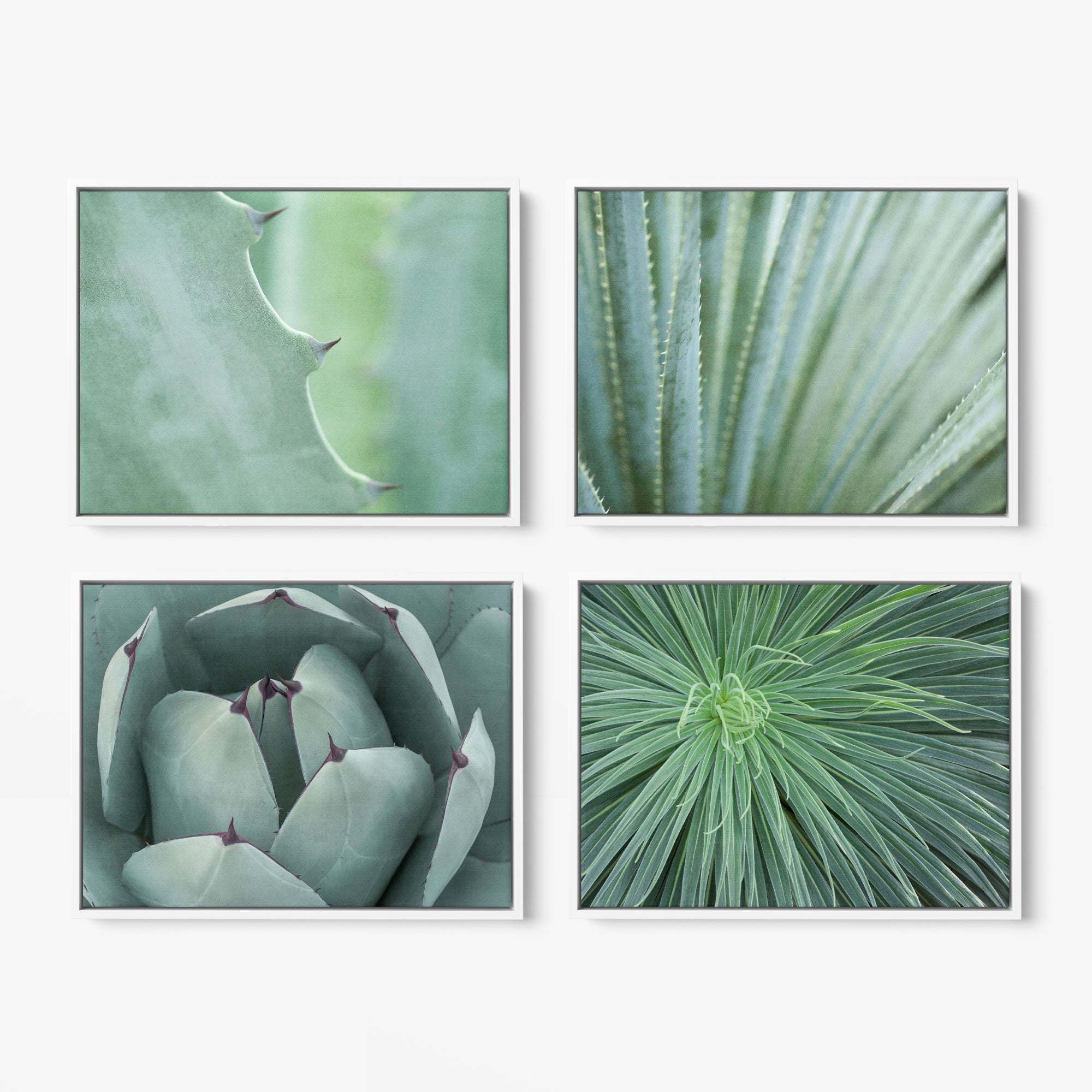 The Offley Green Set of 4 Framed Canvas 24x30 displays close-up views of green plant textures, including spiky leaves and smooth succulent petals, highlighting natural patterns and hues in a botanical style.