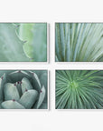 The Offley Green Set of 4 Framed Canvas 24x30 displays close-up views of green plant textures, including spiky leaves and smooth succulent petals, highlighting natural patterns and hues in a botanical style.