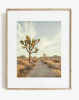 Joshua Tree Prints Gift Set, 3 Unframed Fine Art Photographs