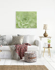 A modern living room has a white couch with patterned cushions and a blanket. A circular pouf sits on a woven rug, while side tables feature a lamp and plant. Prominently on the wall is the Offley Green 24X30 Botanical Canvas Print from over 10 designs, showcasing large green succulents.